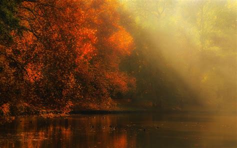 Nature Landscape River Forest Fall Mist Sun Rays Trees
