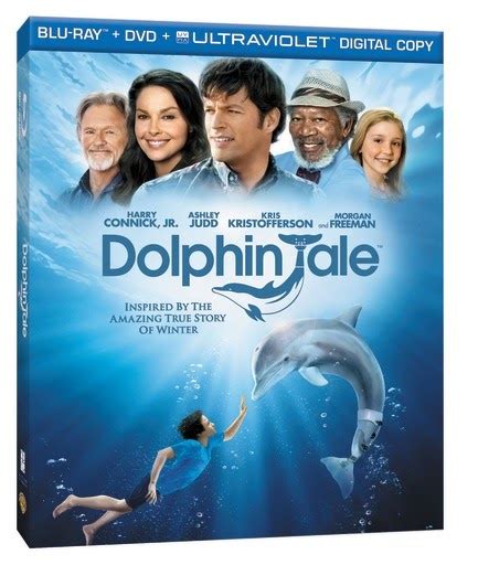 Catholic Media Review Win A Dvdblu Ray Copy Of Dolphin Tale