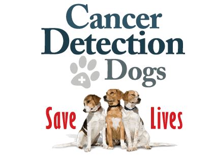 Dog #1's owners elected to pursue treatment. Cancer Detection Using A Dogs Sense Of Smell | GREG'S LEGACY