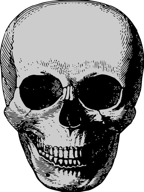 Vintage Skull Openclipart