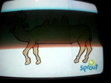 How many humps does alice the camel have? SALLY THE CAMEL. - YouTube
