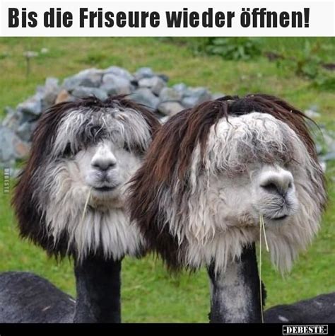 Falls bei dir eine bildart läuft, die du nicht öffnen kannst oder die in der software falsch aussieht, kannst du versuchen. Bis die Friseure wieder öffnen!.. | Lustige Bilder ...