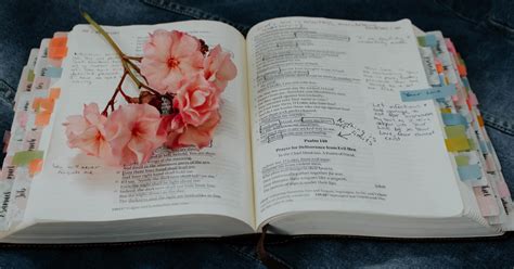 Welcome to my write 31 days series for october 2017. Making Bible Study Do-Able (with Sonja Corbitt) - PODCAST ...