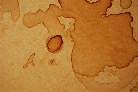 Coffee Stain Paper