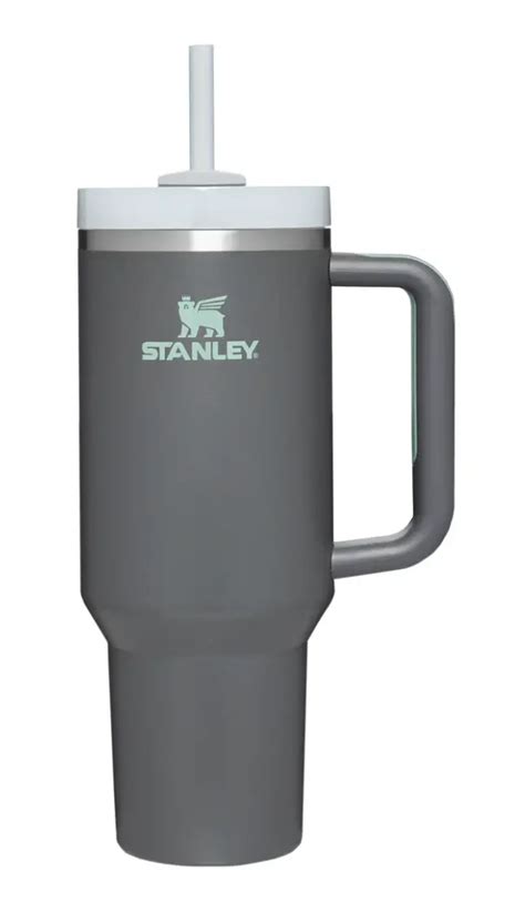 The New Stanley Mug Everything You Need To Know The Modern Mindful Mom