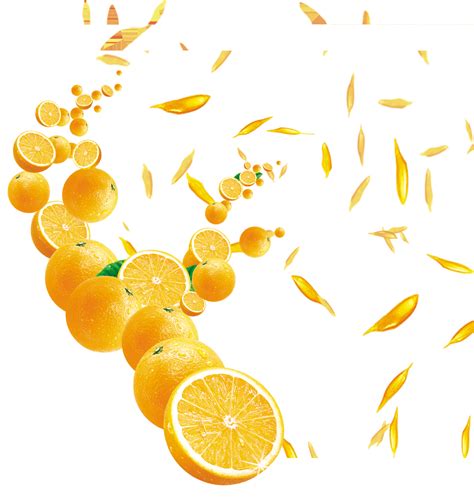 Png Orange Fruit Background Orange Download Free Download