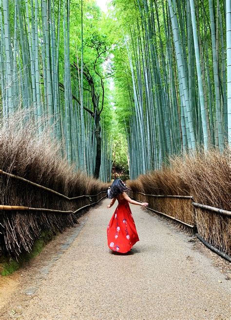 Things To Do In Kyoto Your First Time Arashiyama Bamboo Grove 1