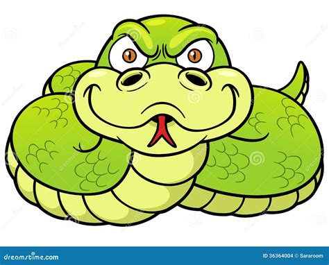 Cartoon Snake Stock Vector Illustration Of Face Humor 36364004
