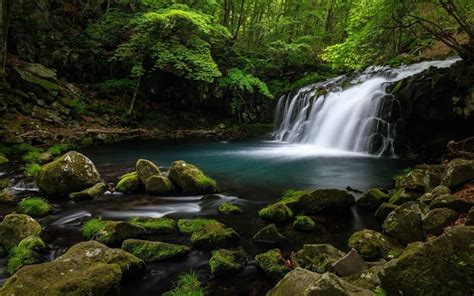 Download Wallpapers Beautiful Waterfall Forest Lake River Forest