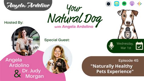 Naturally Healthy Pets Experience With Dr Judy Morgan On Your Natural