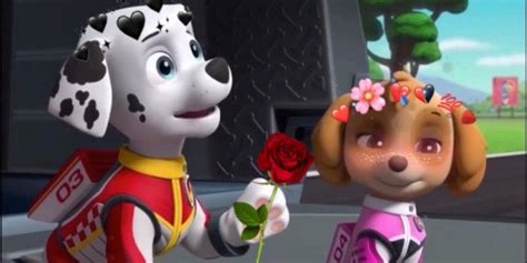 Paw Patrol Celebrates Friendship Day W Skye Marshall Chase 30 Minute Compilation Nick Vlr Eng Br