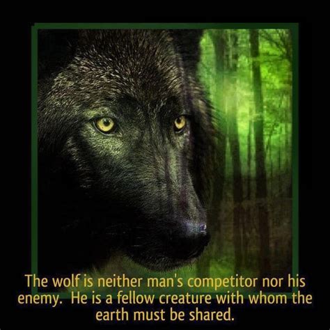 Pin By Irene Schmigiel On Wolf Sayings And Wolf Wisdom En Wolves Quotes