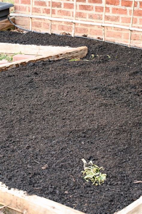 Preparing A Garden Bed For Planting Without Tilling Easy Garden
