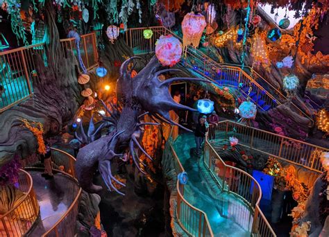 Meow Wolf Review Which Meow Wolf Location Is Best