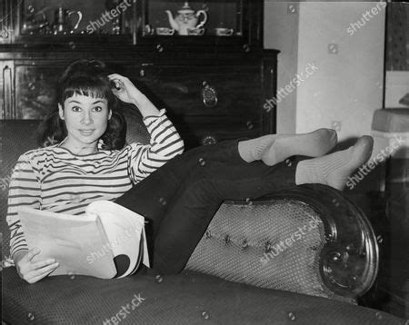 Carole Ann Ford Stock Pictures Editorial Images And Stock Photos