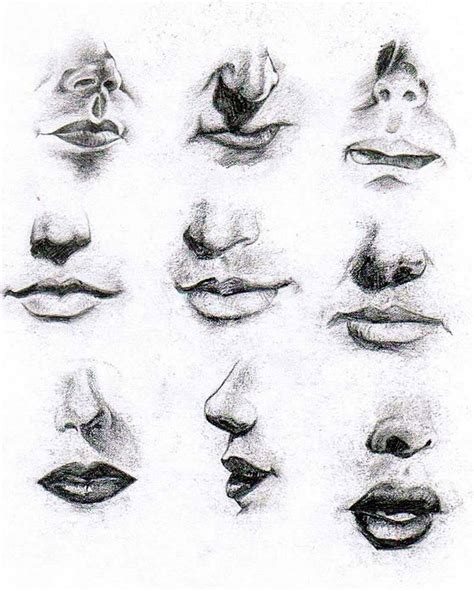 Pin By Denoual Annie On Draw Practice Art Drawings Drawings Nose
