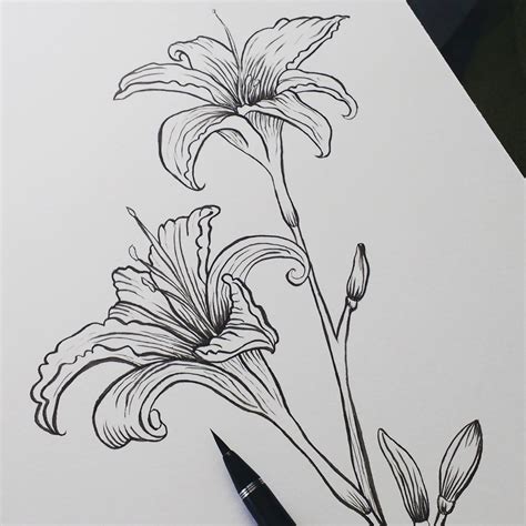 Pen And Ink Watercolor Flowers At Explore