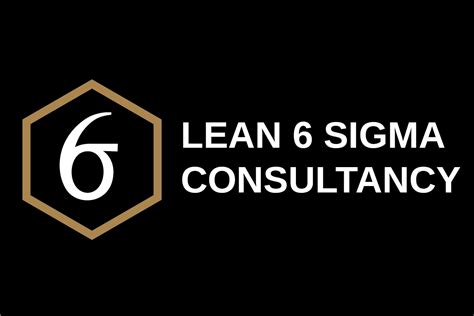 Lean Six Sigma Institute Lean 6 Sigma Consultancy