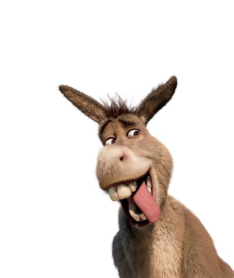 Donkey Png Donkey Head Face Donkey Clipart Images Free Transparent