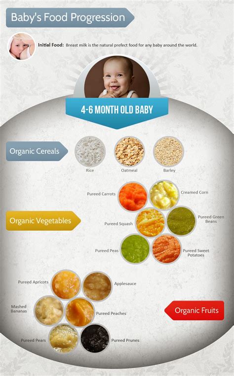 5 month old baby food chart. Top 10 Baby Items for Months 5 & 6: Teething & Feeding ...
