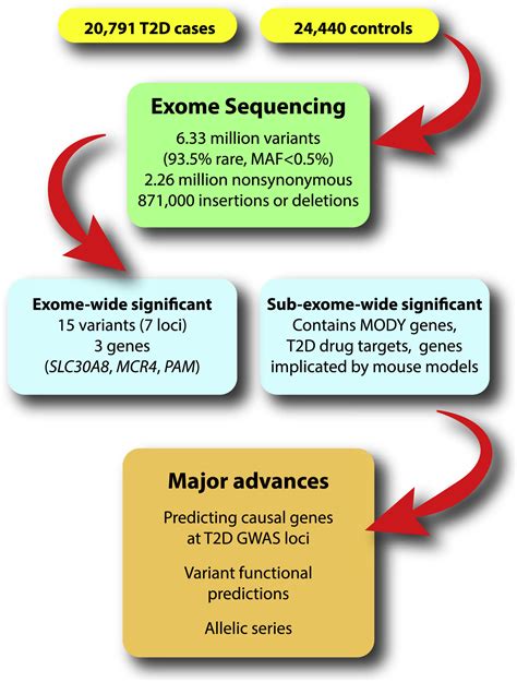 T2d Risk Genes Exome Sequencing Goes Straight To The Source Cell