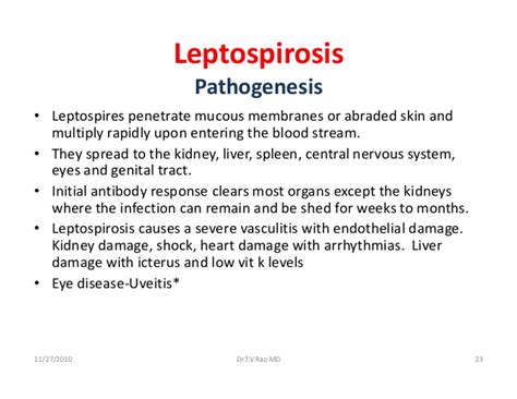 Headache, fever with muscular pain in both adults and children. Leptospirosis