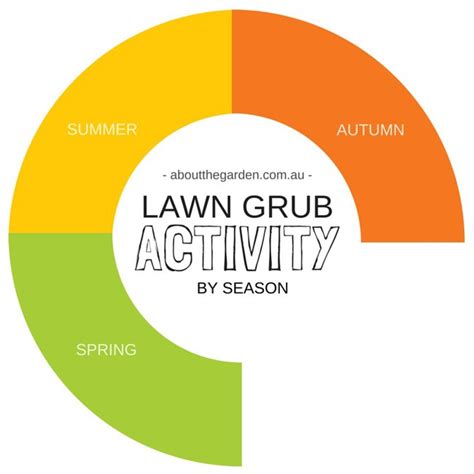 Healthy Lawns How To Detect Lawn Grubs About The Garden Magazine