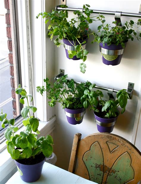 Indoor Kitchen Herb GArden Vertical With Blue Pots 