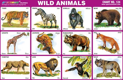 Spectrum Educational Charts Chart 124 Wild Animals