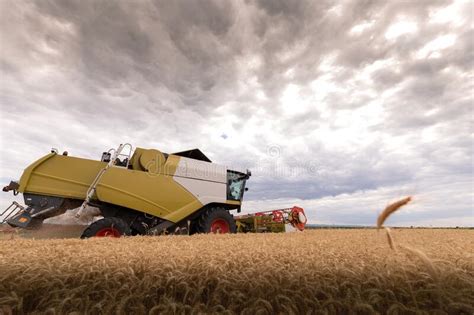Harvesting Combine In The Wheat Stock Photo Image Of Summer Nature