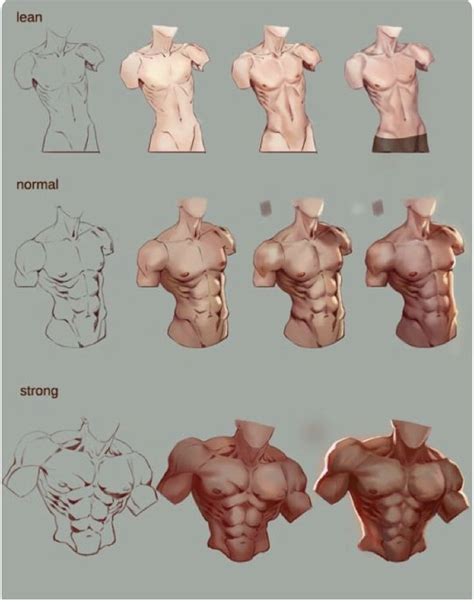 Male Body Structure Art Reference Art Reference Poses Anatomy Drawing