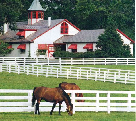 Kentucky Farm Kentucky Horse Farms Horse Farms Calumet Farm