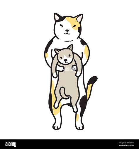 Cat Vector Kitten Icon Calico Logo Illustration Character Baby Animals