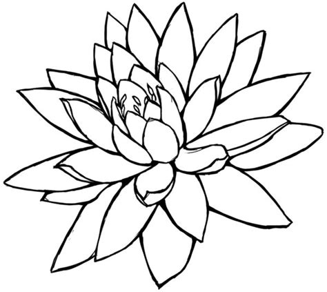 You can edit any of drawings via our online image editor before downloading. Lotus Flower Line Drawing - Cliparts.co | Цветочные ...