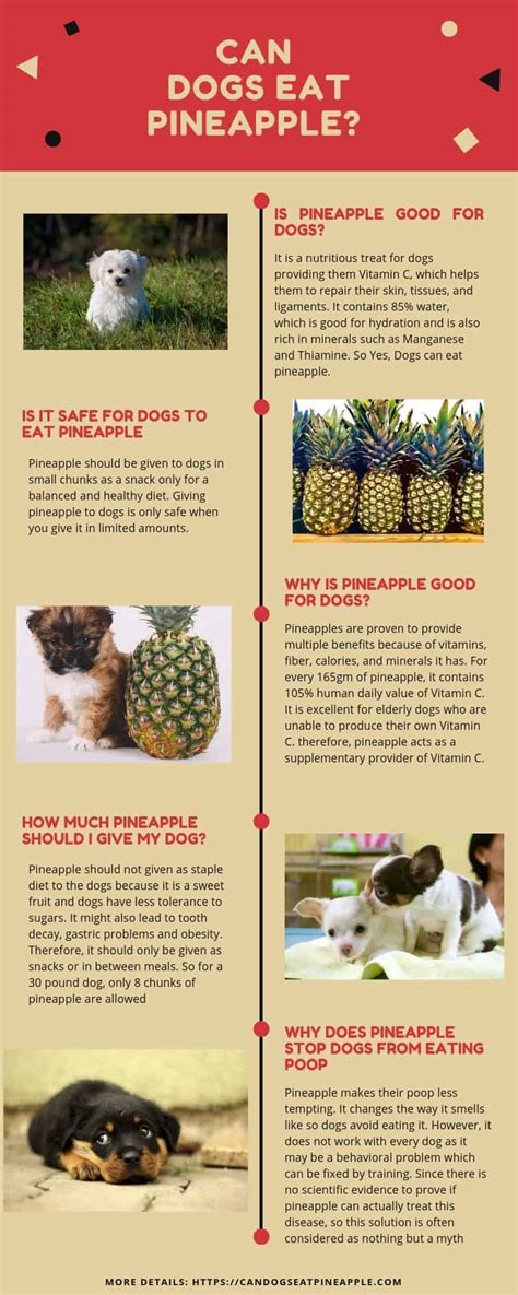 Is pineapple safe for dogs? Can Dogs Eat Pineapple? Yes They Can But Read This First