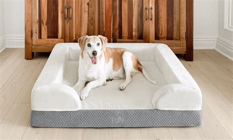 The 11 Best Orthopedic Dog Beds Of 2023 Tested And Reviewed Ph