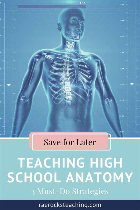 3 Strategies To Teaching High School Anatomy And Physiology Artofit