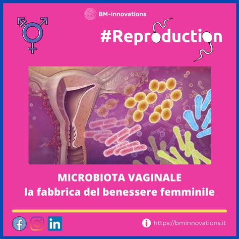 Microbiota Vaginale La Fabbrica Del Benessere Femminile