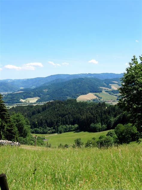 Free Images Landscape Tree Field Meadow Hill Valley Mountain