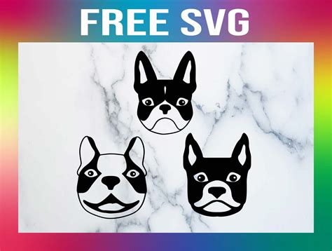 Boston Terrier Svg For Cricut Vector Dog Svg Dogs For Shirts Pets