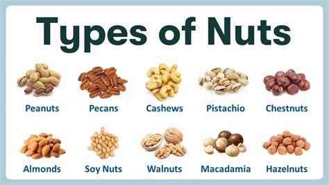 Types Of Nuts List Of Nuts In English With Pronunciations And