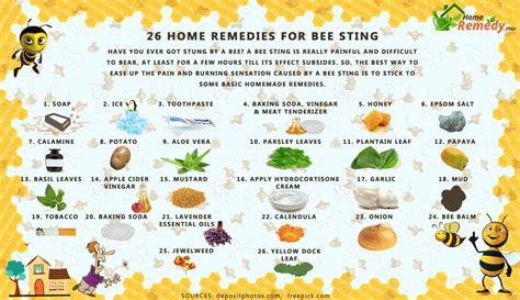 26 Home Remedies For Bee Sting Home Remedies