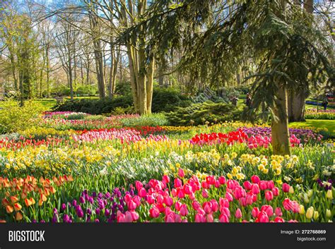 Spring Blooming Sunny Image And Photo Free Trial Bigstock