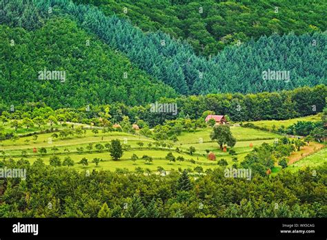 Agriculture Field In Romania Stock Photo Alamy