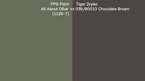 Ppg Paint All About Olive Vs Tiger Drylac Chocolate