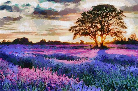 Sunset Lavender Field Painting By Georgi Dimitrov Fine Art America