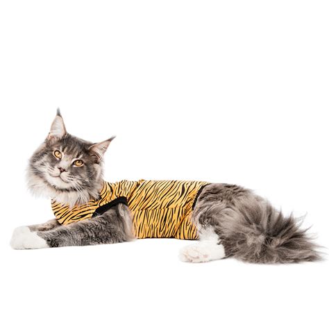 Recovery Suit Cat Suitical