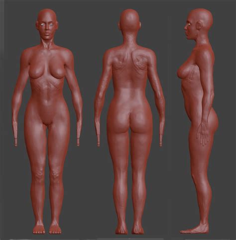 Female Model Project WIP Contains Nudity Works In Progress Blender Artists Community