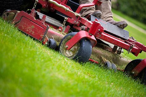 Best Lawn Mower Stock Photos Pictures And Royalty Free Images Istock