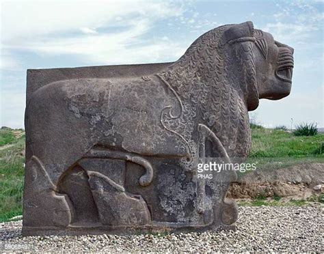Lion Of Basalt Photos Et Images De Collection Getty Images